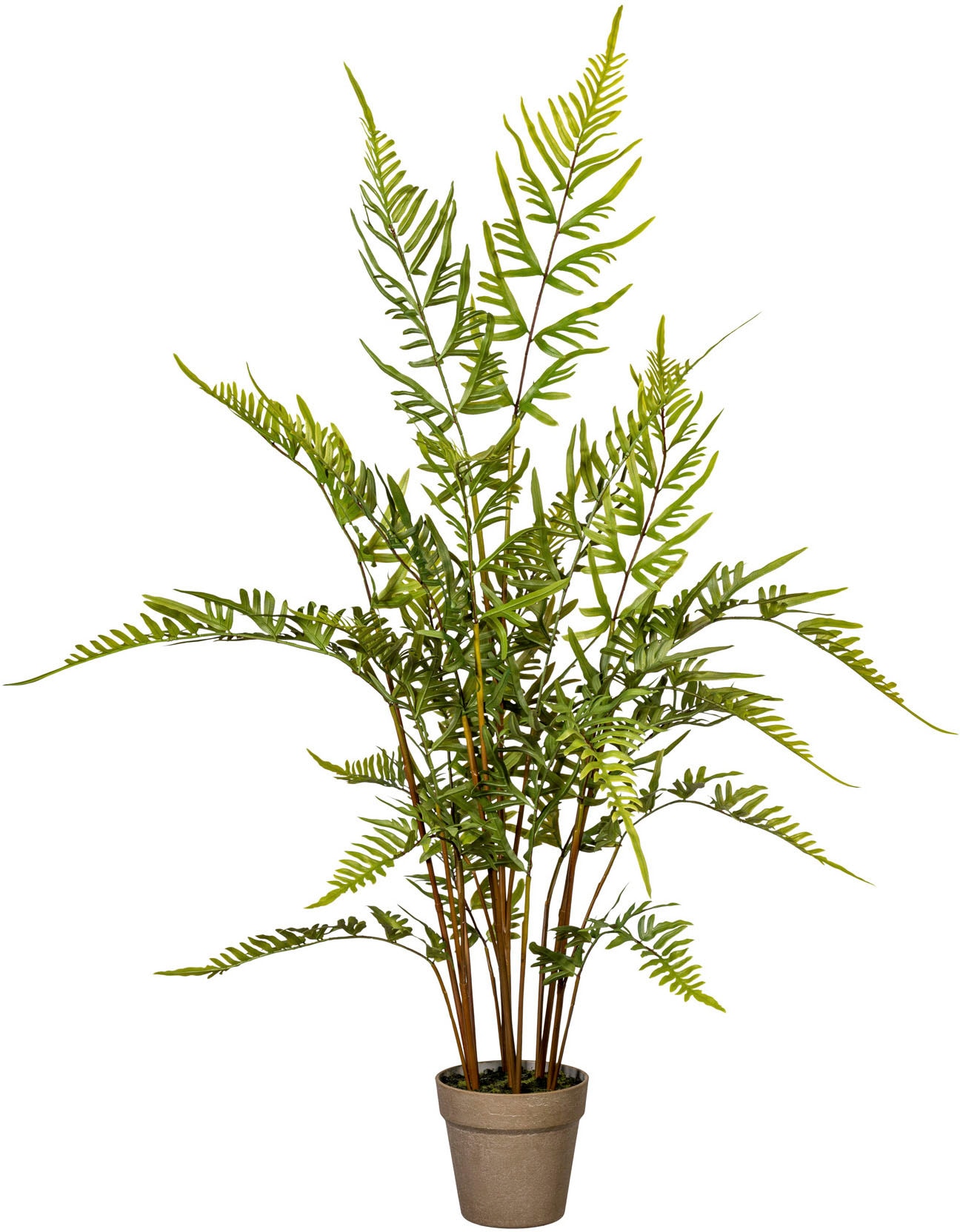 bestellen OTTO green Künstliche bei Creativ »Rippenfarn« Zimmerpflanze