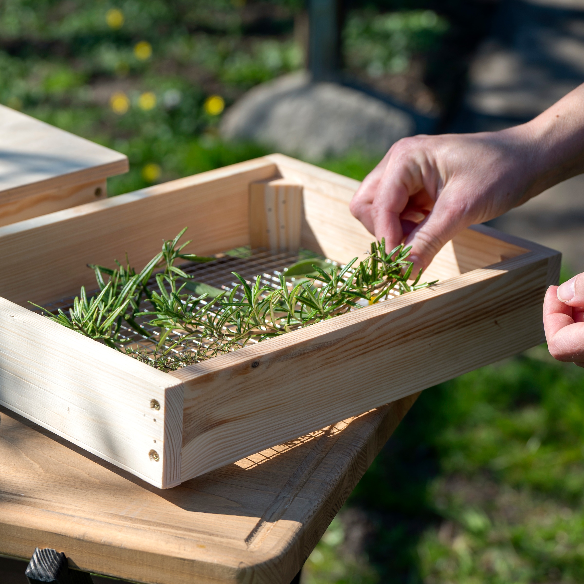 dobar Dörrautomat »Solar-Trockner aus Holz« zum Trocknen von Kräutern, Obst und Gemüse