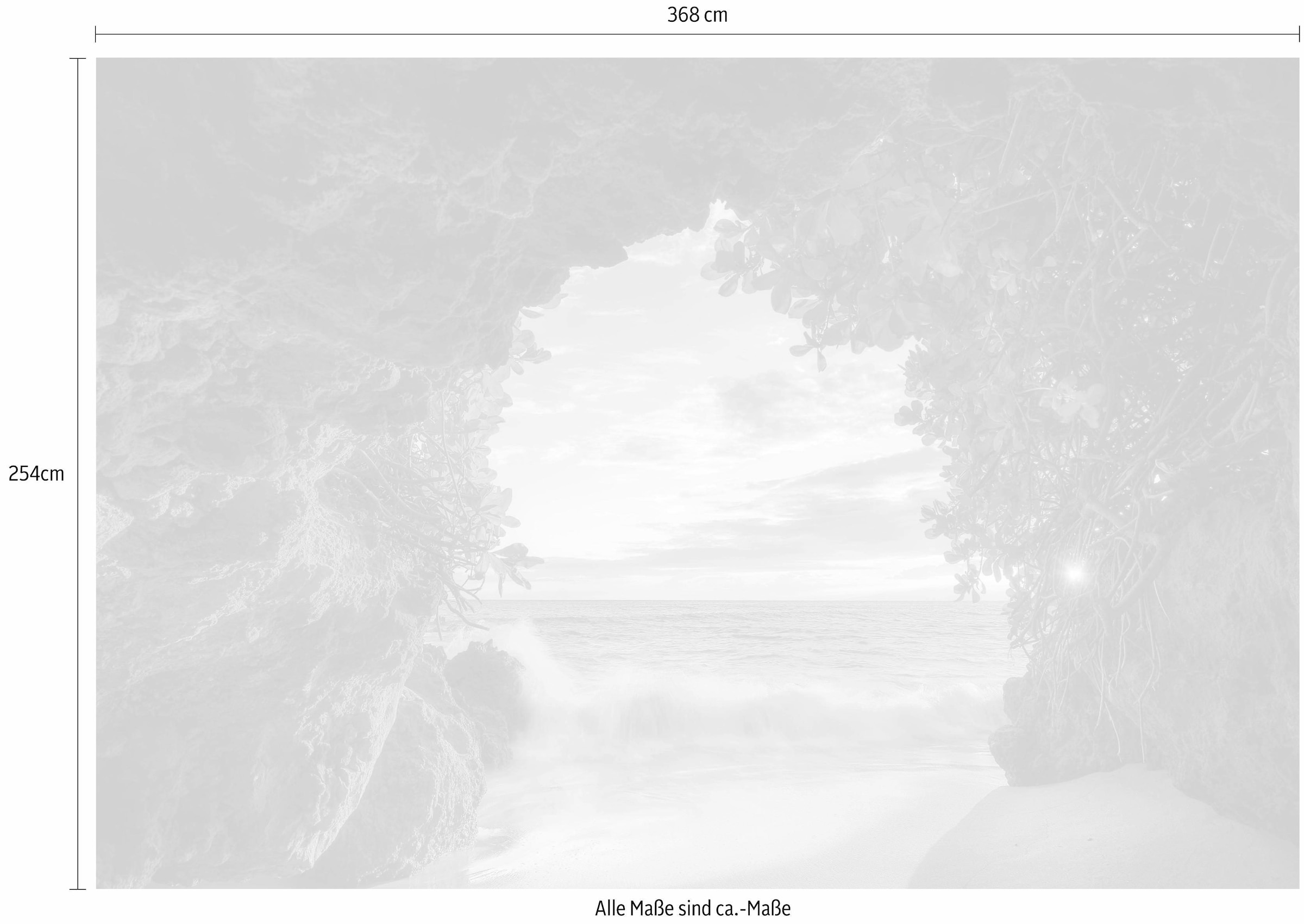 Komar Fototapete »Hide OTTO Kleister bei kaufen Out«, 368x254 cm x Höhe), inklusive (Breite