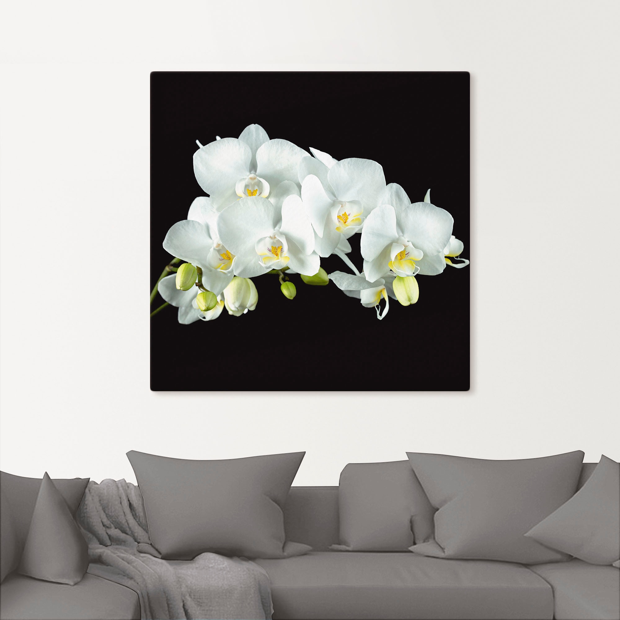 Artland Leinwandbild »Weiße Orchidee auf schwarzem Hintergrund« Blumen 1 Stk. tlg. auf Holzrahmen gespannt