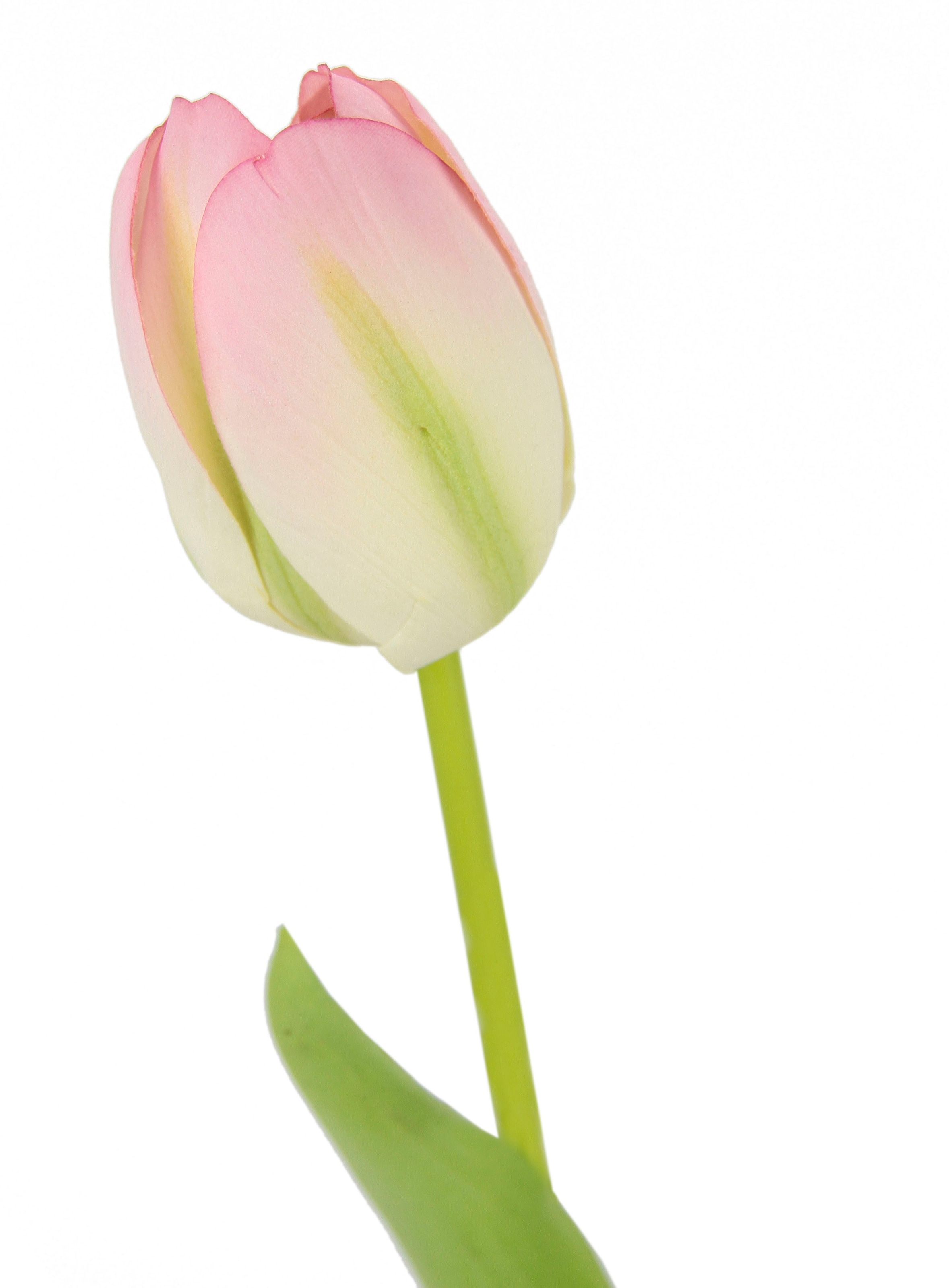 I.GE.A. Kunstblume »Real Touch Tulpen« 5er Set künstliche Tulpenknospen, Kunstblumen, Stielblume