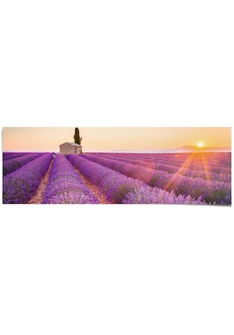 Poster »Lavendel Horizont«, (1 St.)