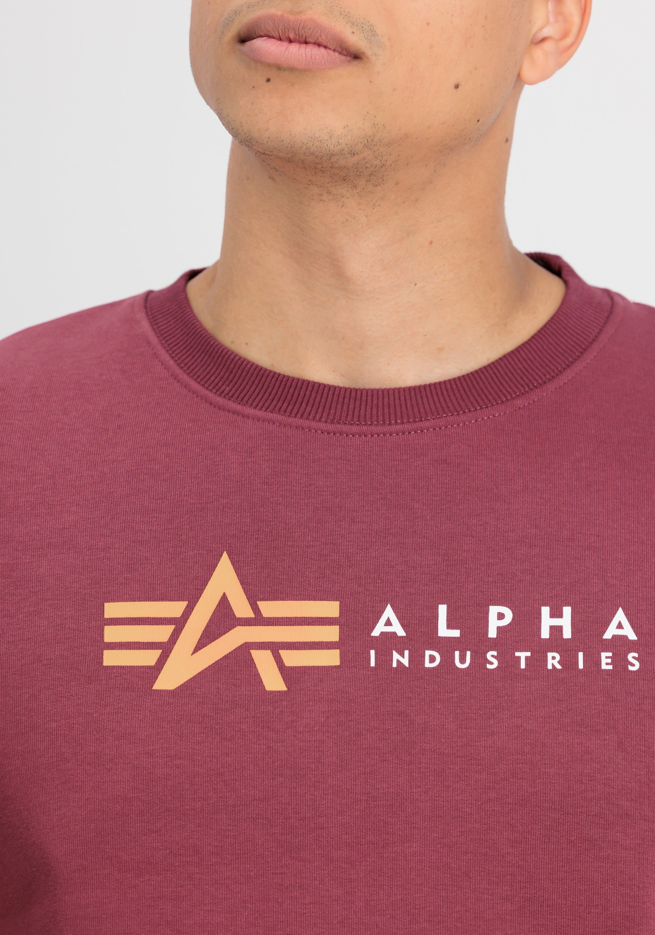 Alpha Industries Sweater »Alpha Industries Men - Sweatshirts Alpha Label Sweater«