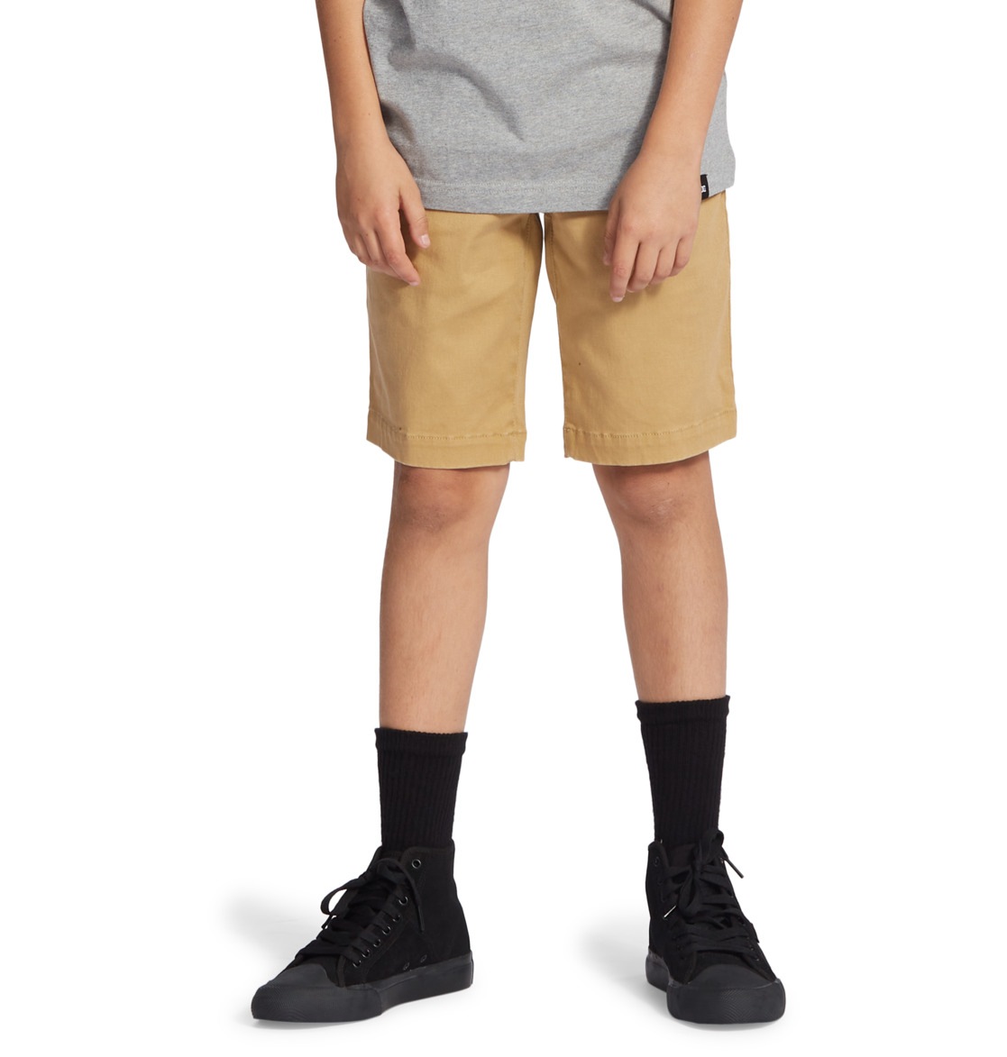 DC Shoes Chinoshorts »Worker Relaxed«