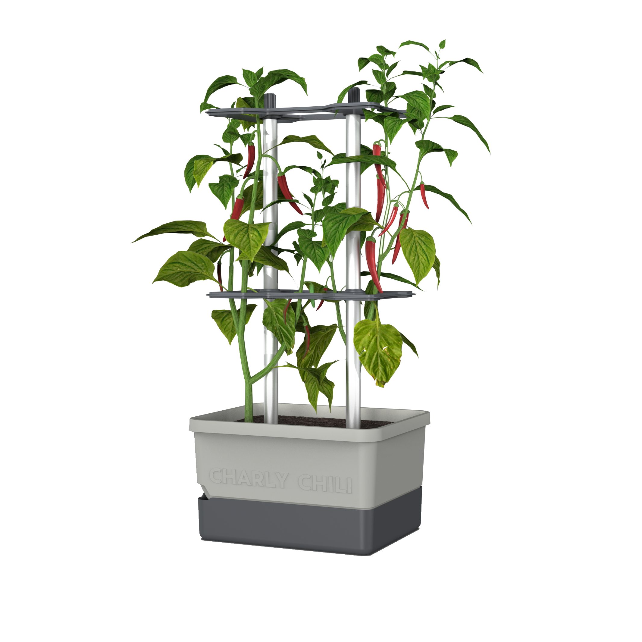 Gusta Garden Pflanzkübel »Charly Chili«
