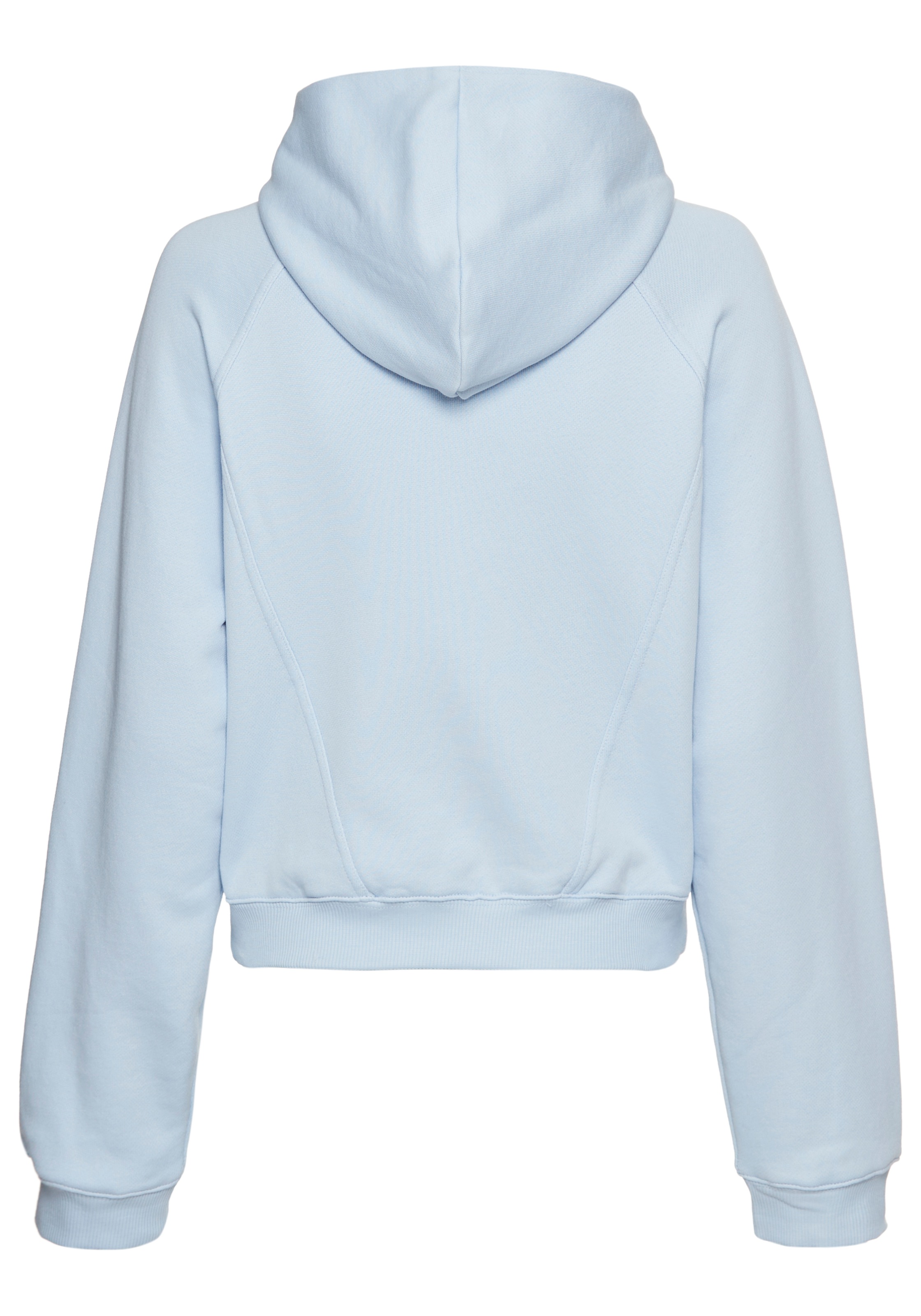 Reebok Kapuzensweatshirt »D Hoodie«