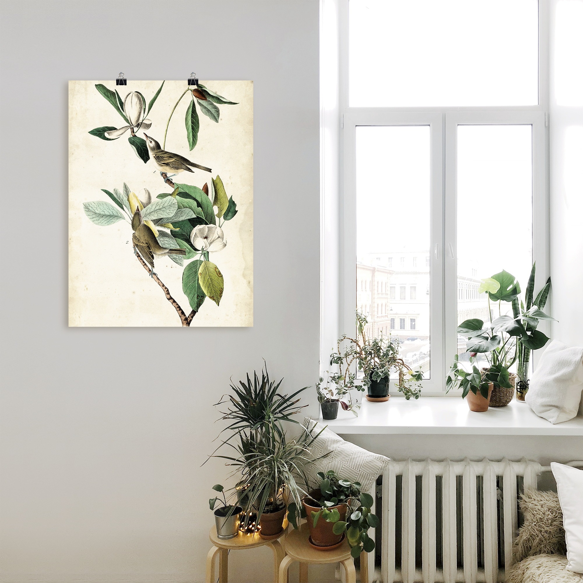 Artland Poster »Sängervireo«, Vögel, (1 St.), als Alubild, Leinwandbild, Wandaufkleber oder Poster in versch. Größen