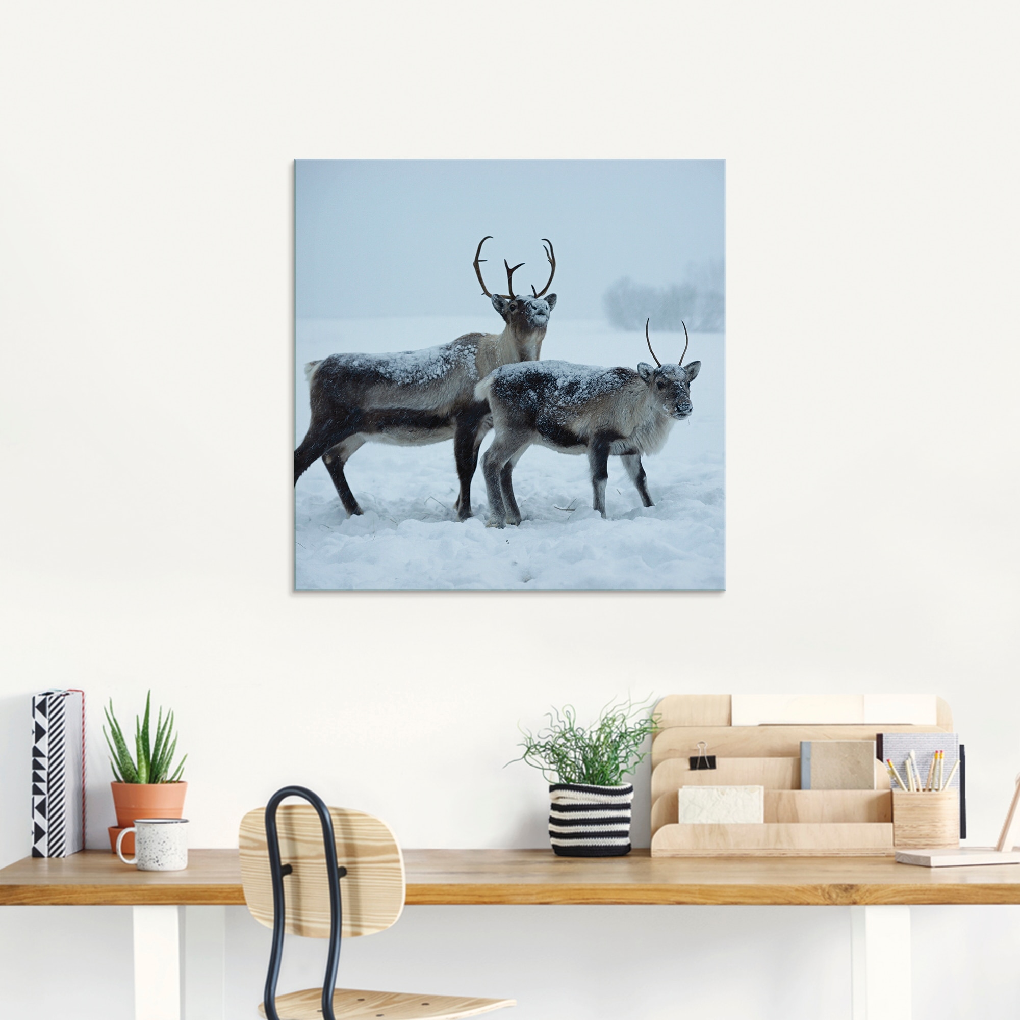 Artland Glasbild »Rentier«, Wildtiere, (1 St.), in verschiedenen Größen