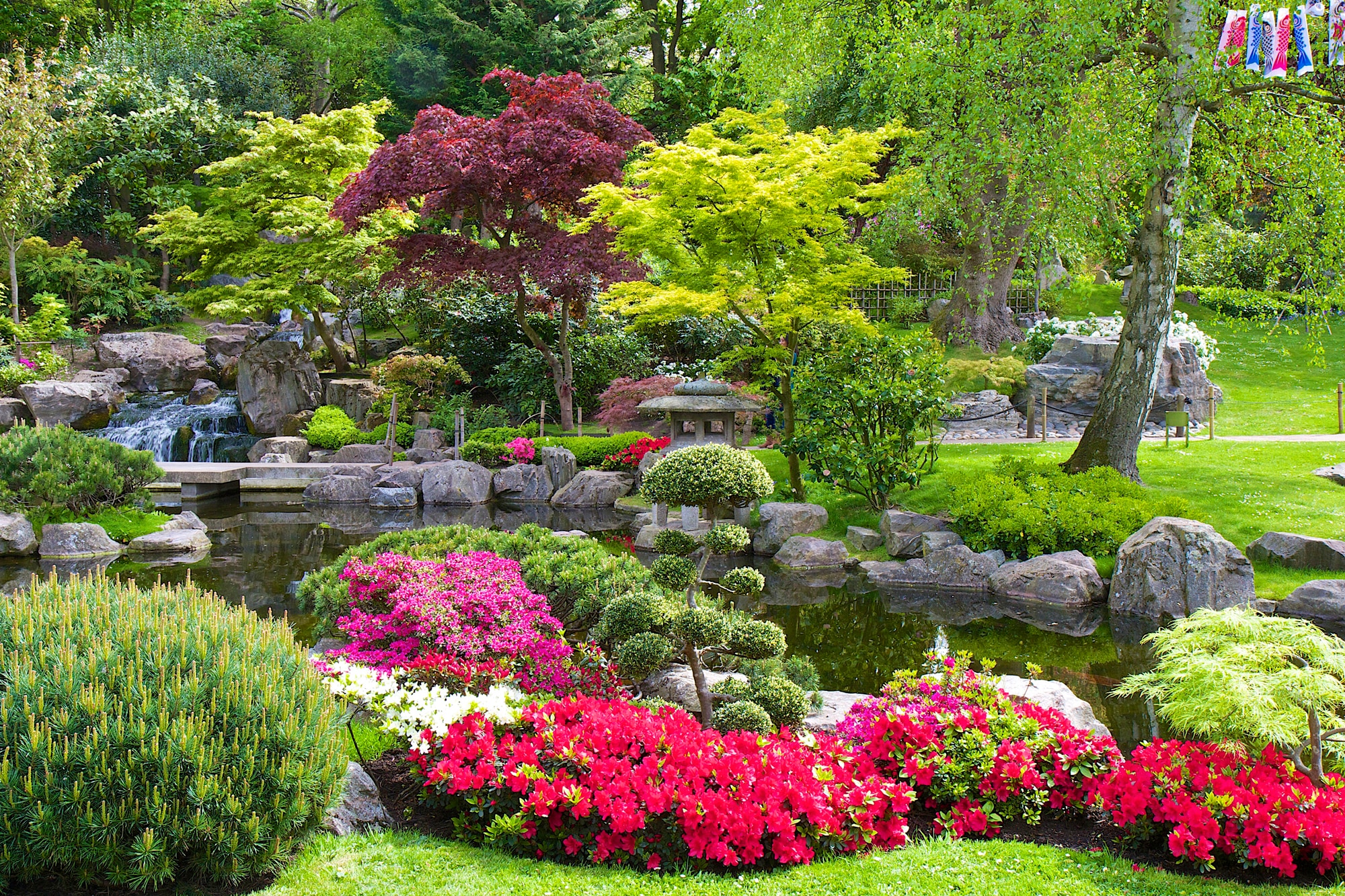 Papermoon Fototapete »GARTEN-BLUMEN BÄUME PFLANZEN PARK STEINE BLÜTEN WALD«