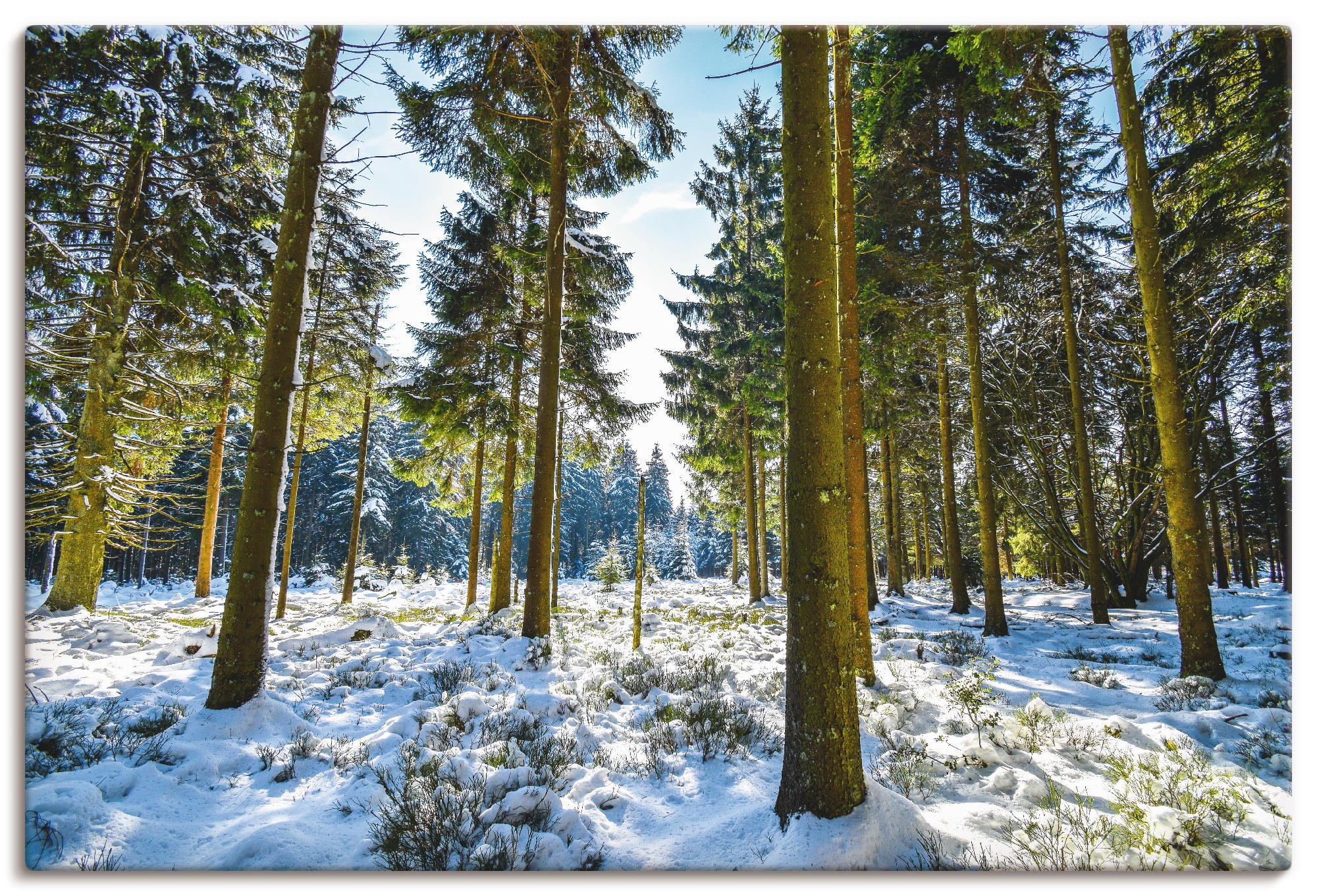 Artland Wandbild »Schnee im Hohen Venn«, Wald, (1 St.), in vielen Größen & Produktarten - Alubild / Outdoorbild für den Außenbereich, Leinwandbild, Poster, Wandaufkleber / Wandtattoo auch für Badezimmer geeignet