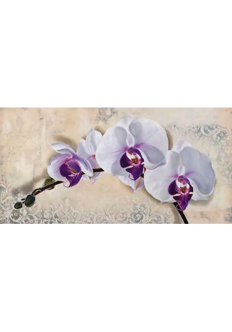 Home affaire Kunstdruck »ELENA DOLCI / Royal Orchid«, (1 St.) kaufen