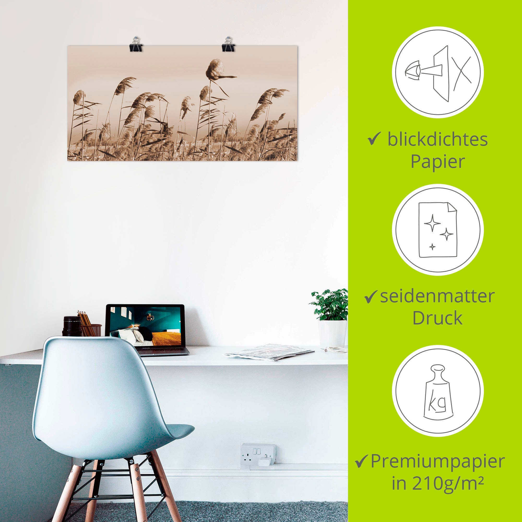 Artland Wandbild »Gräser«, Gräser, (1 St.), als Alubild, Outdoorbild, Leinwandbild, Poster, Wandaufkleber