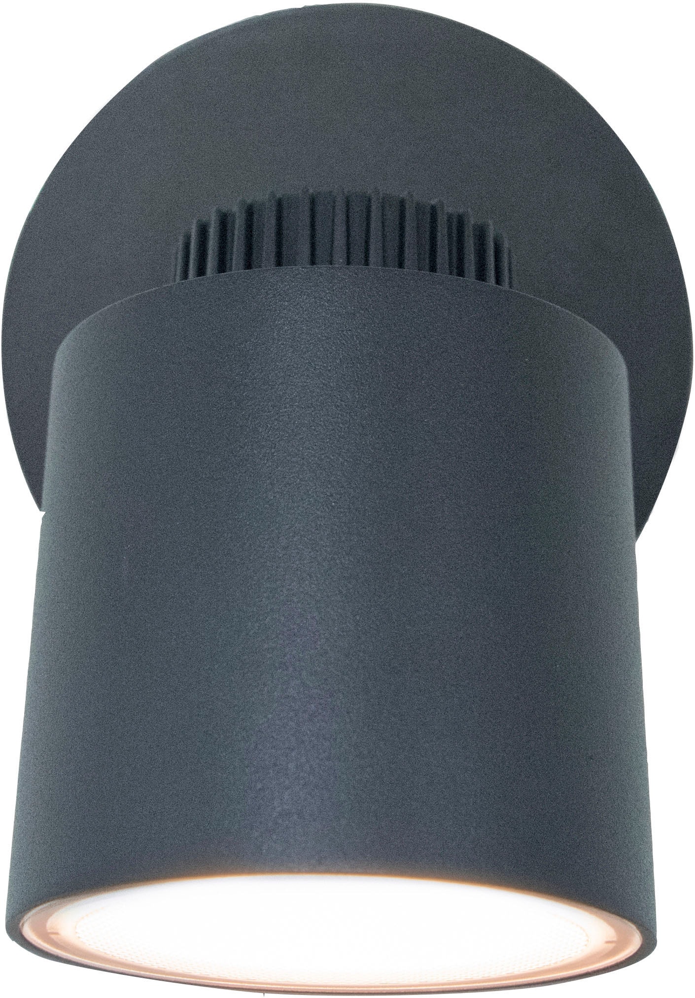 Lutec LED Außen-Wandleuchte »EXPLORER« LED-Modul 1 Stk. in grau, Größe Höhe: 11,8 cm