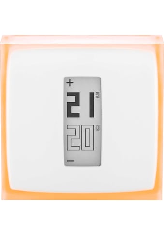 Netatmo Heizkörperthermostat »Smartes Thermostat (für Heizkesser, Fußbodenheizung,... kaufen
