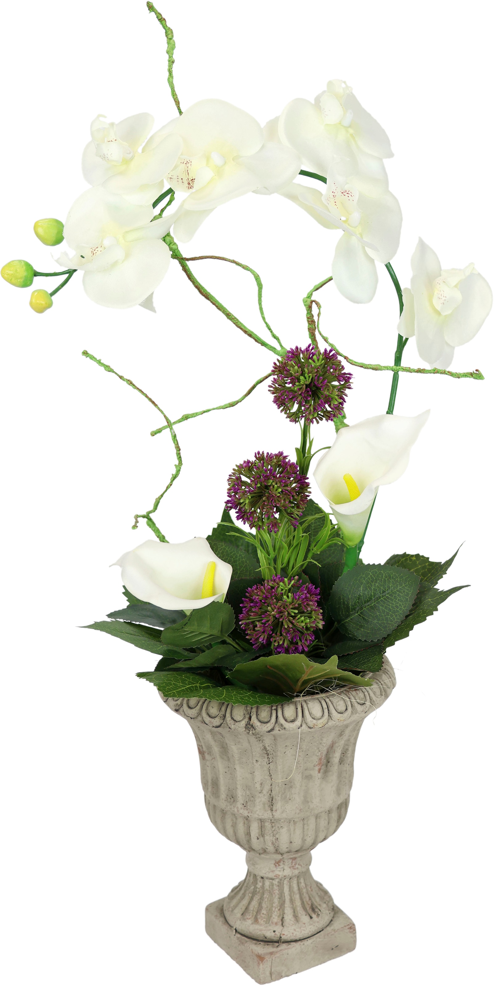 I.GE.A. Kunstpflanze »Orchidee« online bei OTTO