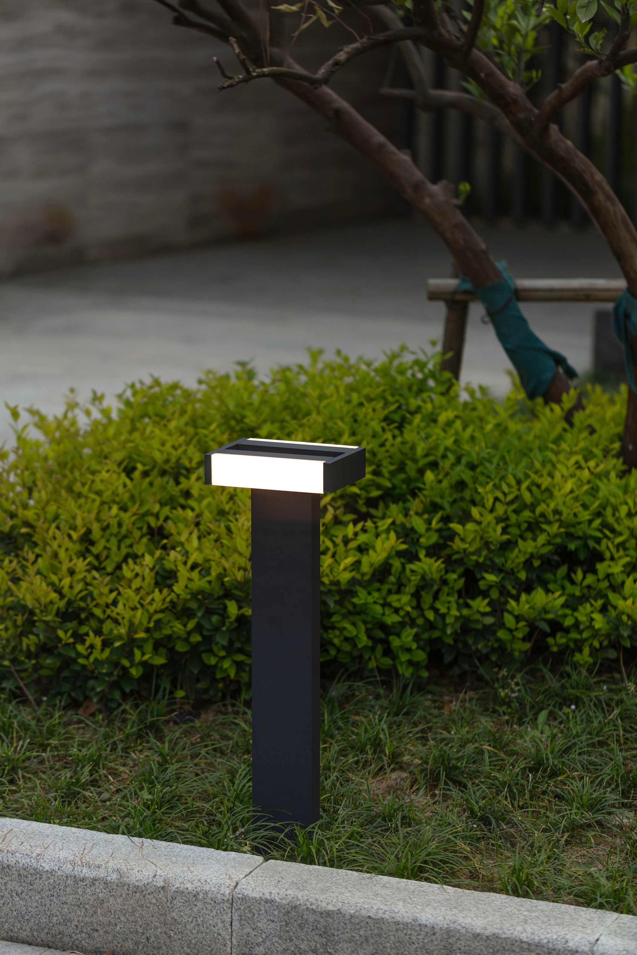 LUTEC LED Außen-Wandleuchte »CONROY«, Leuchtmittel LED-Modul | LED fest integriert, verstellbar