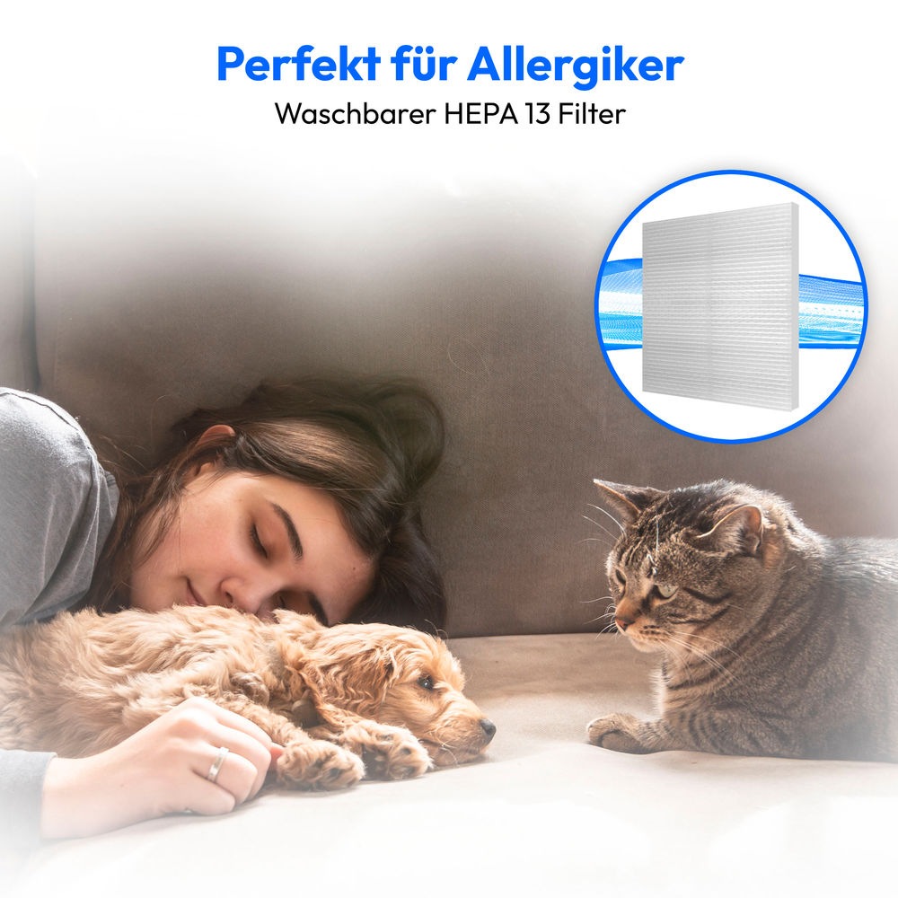 Medion® Bodenstaubsauger »P2000 (MD 11905), 21,5 kPa Saugleistung, 2L, Multizyklon-Technologie«, 700 W, beutellos, 5,2 Meter Kabellänge, HEPA 13 Filter, 72 dB, integriertes Zubehör