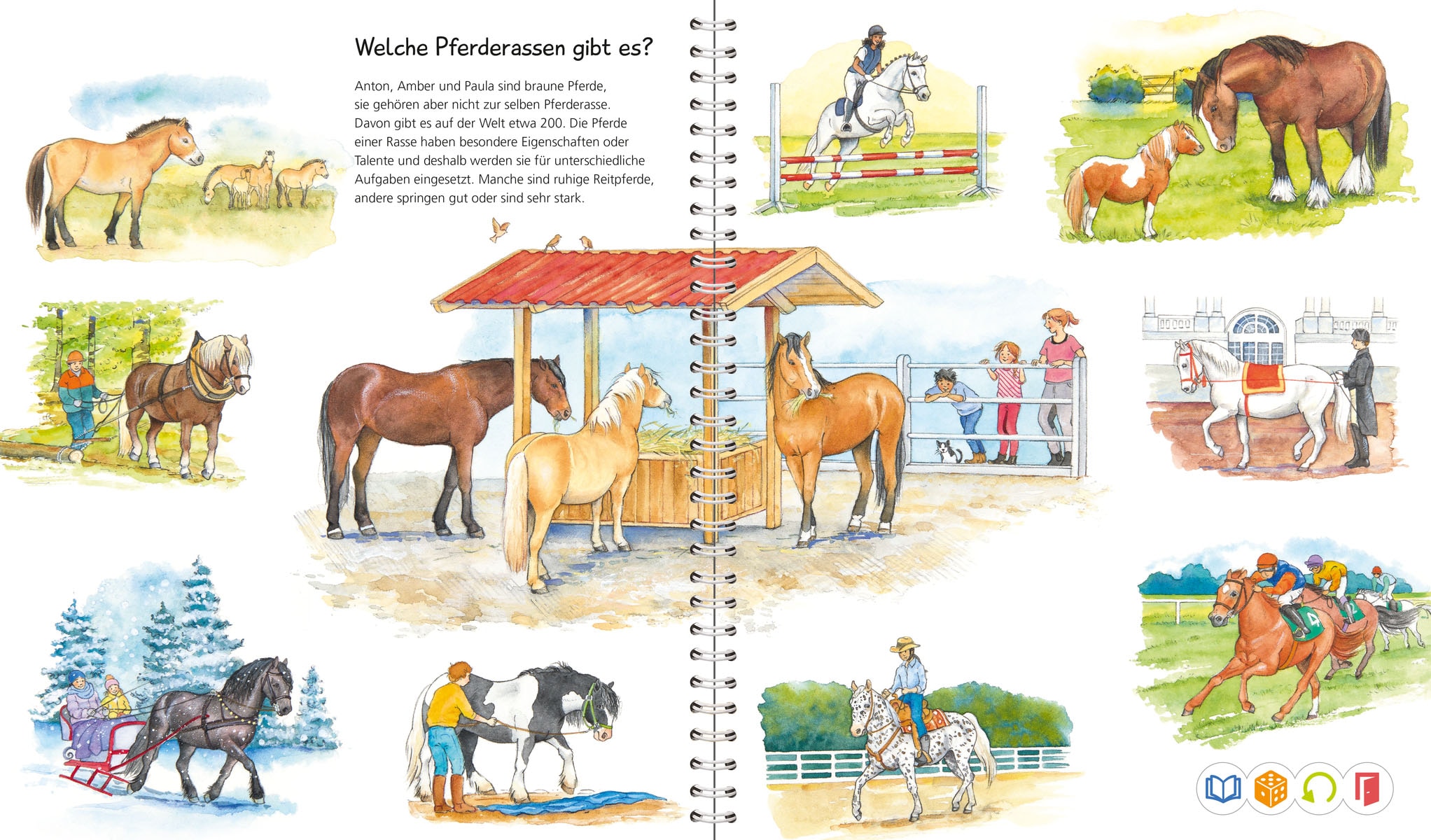 Ravensburger Buch »tiptoi® Wieso? Weshalb? Warum? Wir entdecken Pferde und Ponys«, Made in Europe