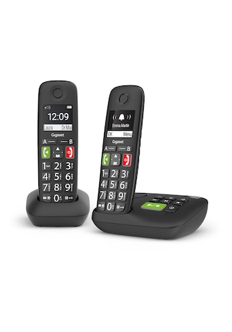DECT-Telefon »E290A Duo«