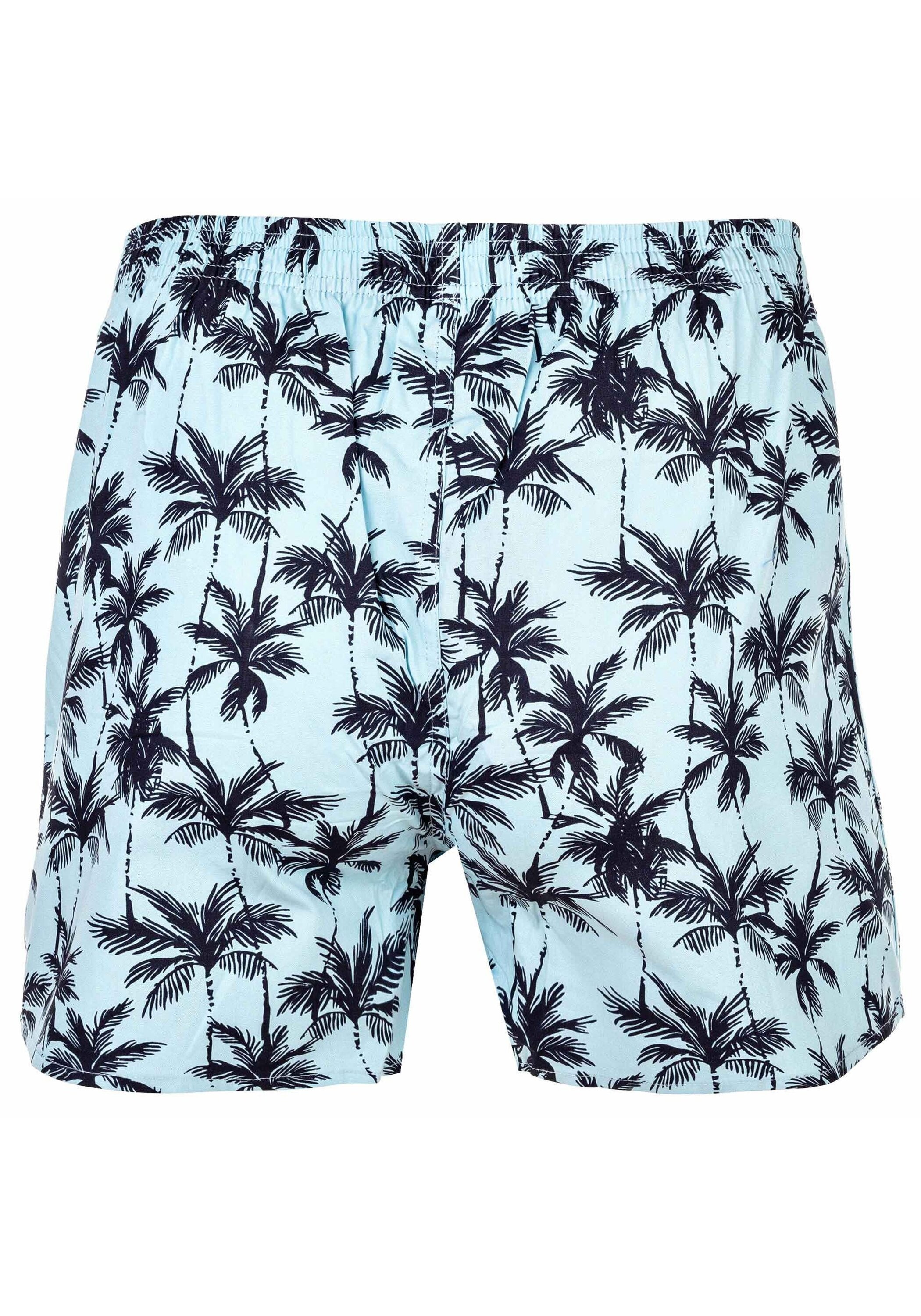 HAPPY SHORTS Webboxer »Web-Boxershorts American Boxershorts 3er Pack«