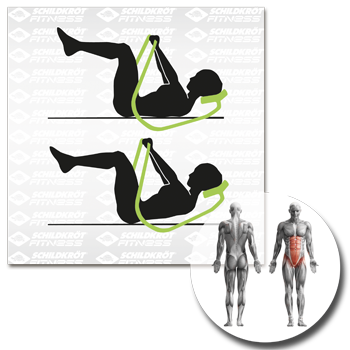 Schildkröt Bauchtrainer »AB Trainer Classic«