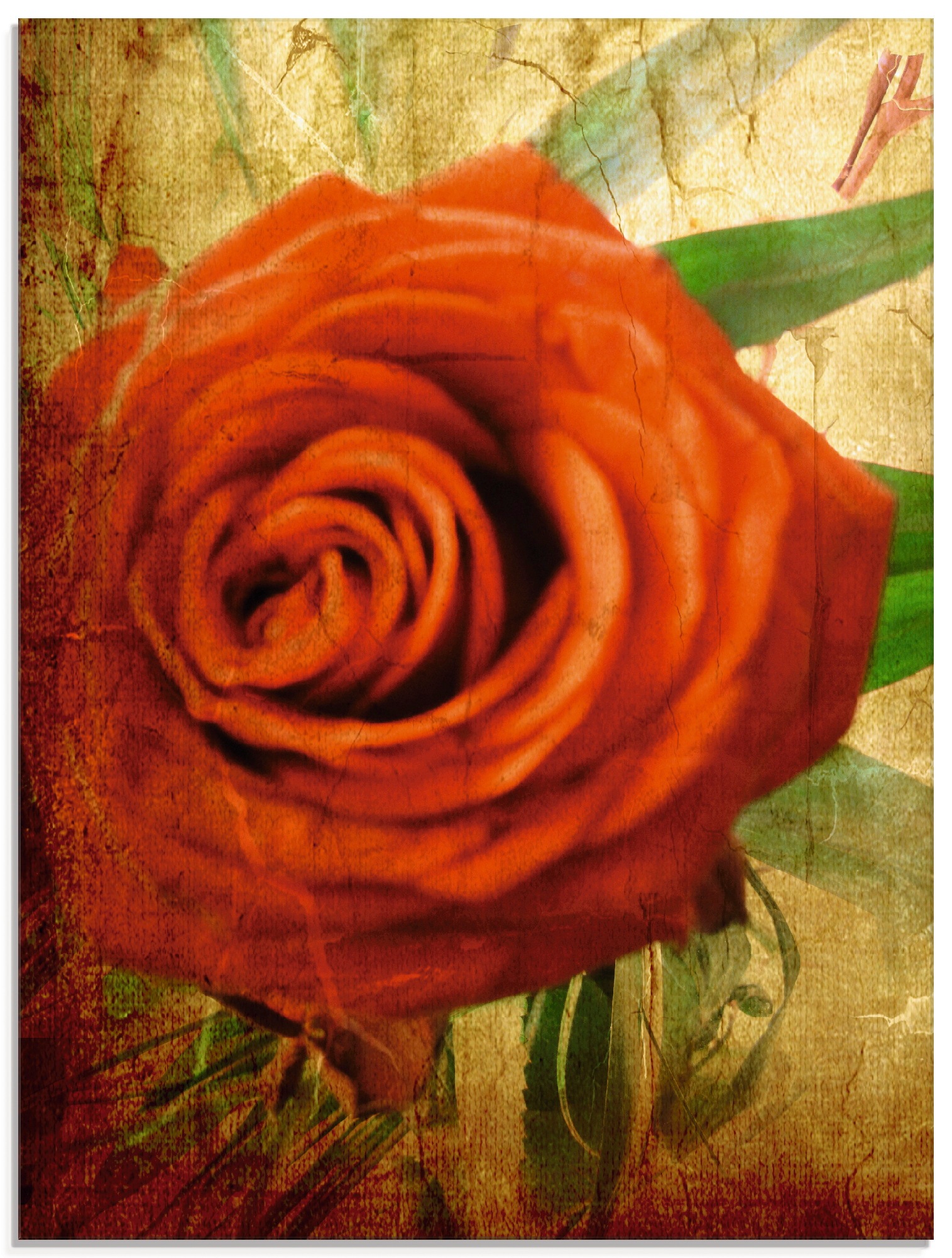 Artland Glasbild »Rose II«, Blumen, (1 St.)