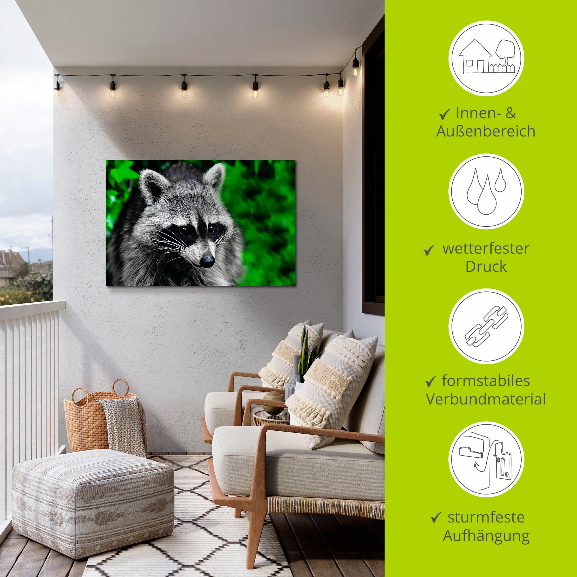 Artland Alu-Dibond-Druck »Waschbär«, Wald, (1 St.), für Innen- und Außenbereich geeignet, Outdoorbild