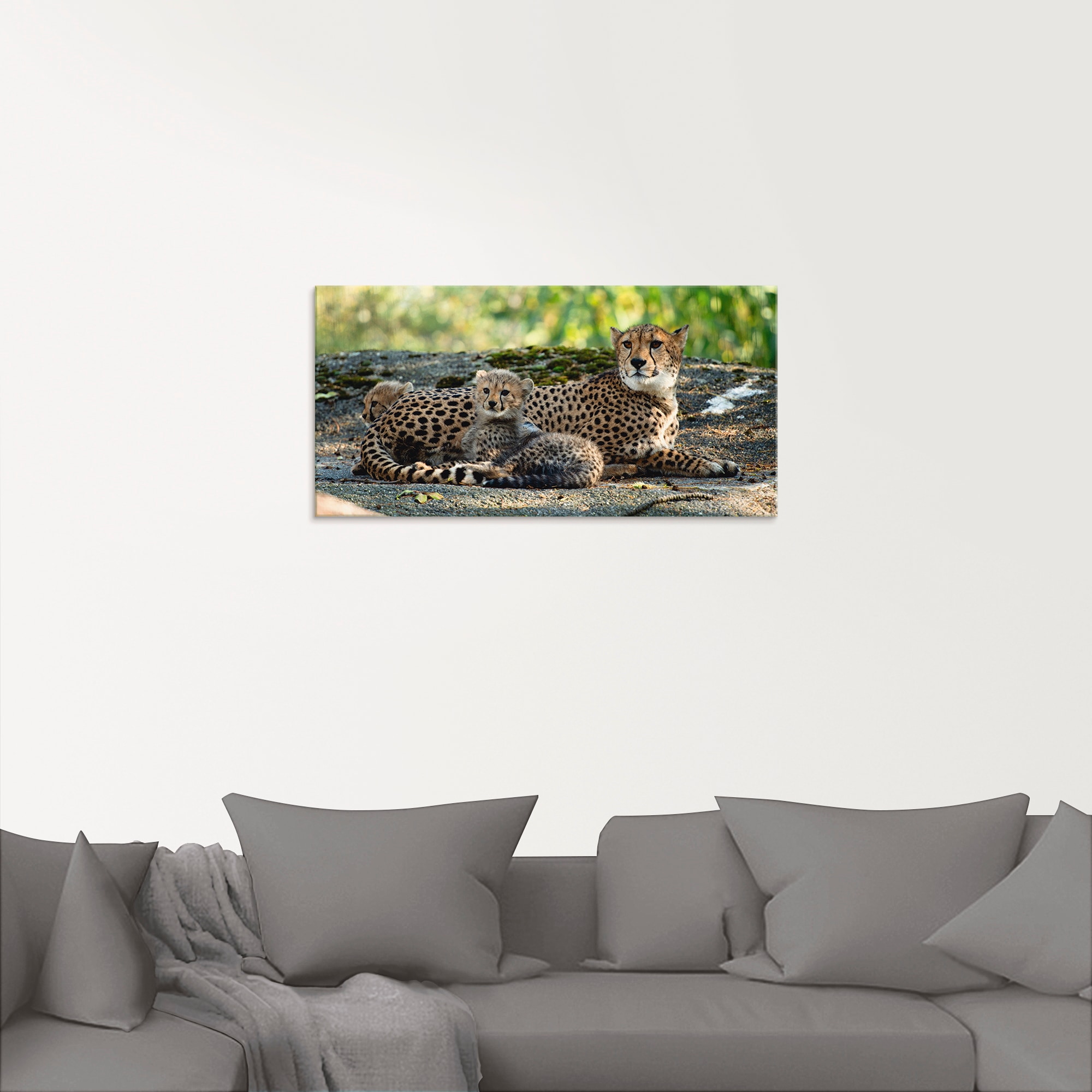 Artland Glasbild »Gepard 2«, Wildtiere, (1 St.), in verschiedenen Größen