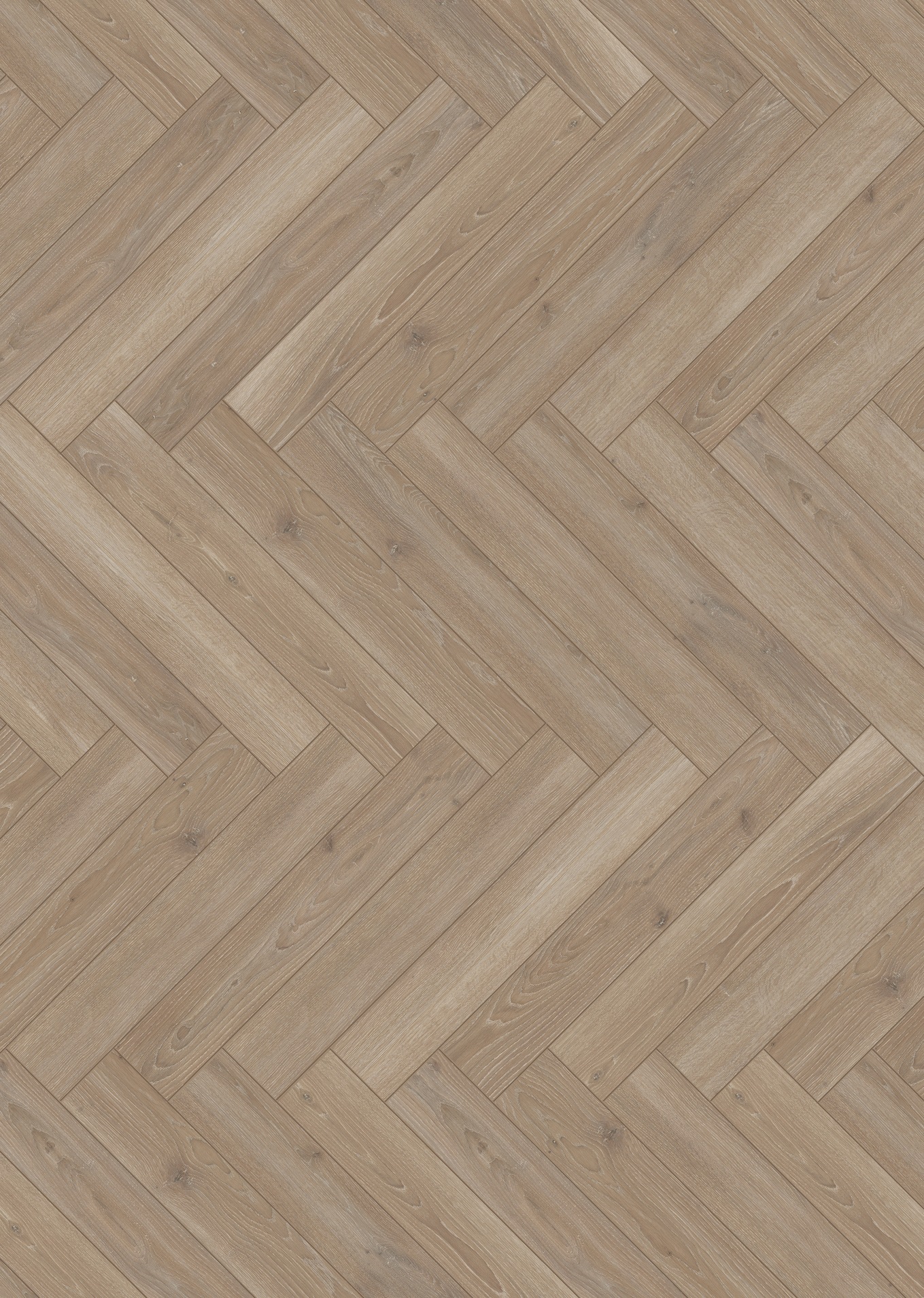 PARADOR Laminat »Trendtime 3 - Eiche Skyline«, spezielle Trägerplatte, 858 x 143 mm, Stärke: 8 mm
