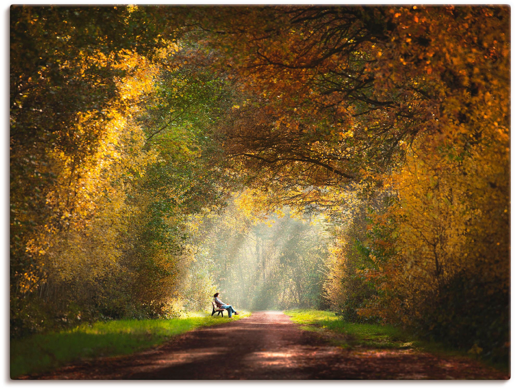 Artland Wandbild »Licht am Tunnels...«, Größen verschied. bei Wald, in OTTO als (1 Wandaufkleber Leinwandbild, Ende St.), des