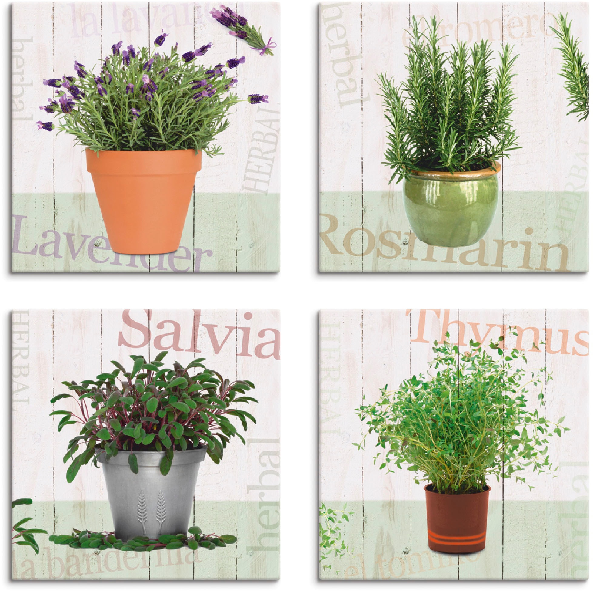 Artland Leinwandbild »Lavendel, Rosmarin, Salbei, Thymian«, Pflanzen