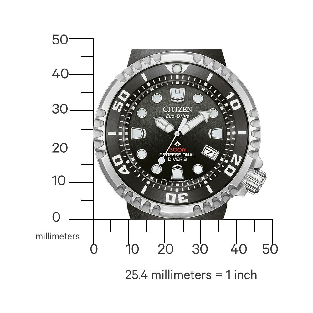 Citizen Taucheruhr »Promaster Professional Diver 300«, Armbanduhr, Solar, Herrenuhr, analog, Tag, Batterie-Entladungsanzeige