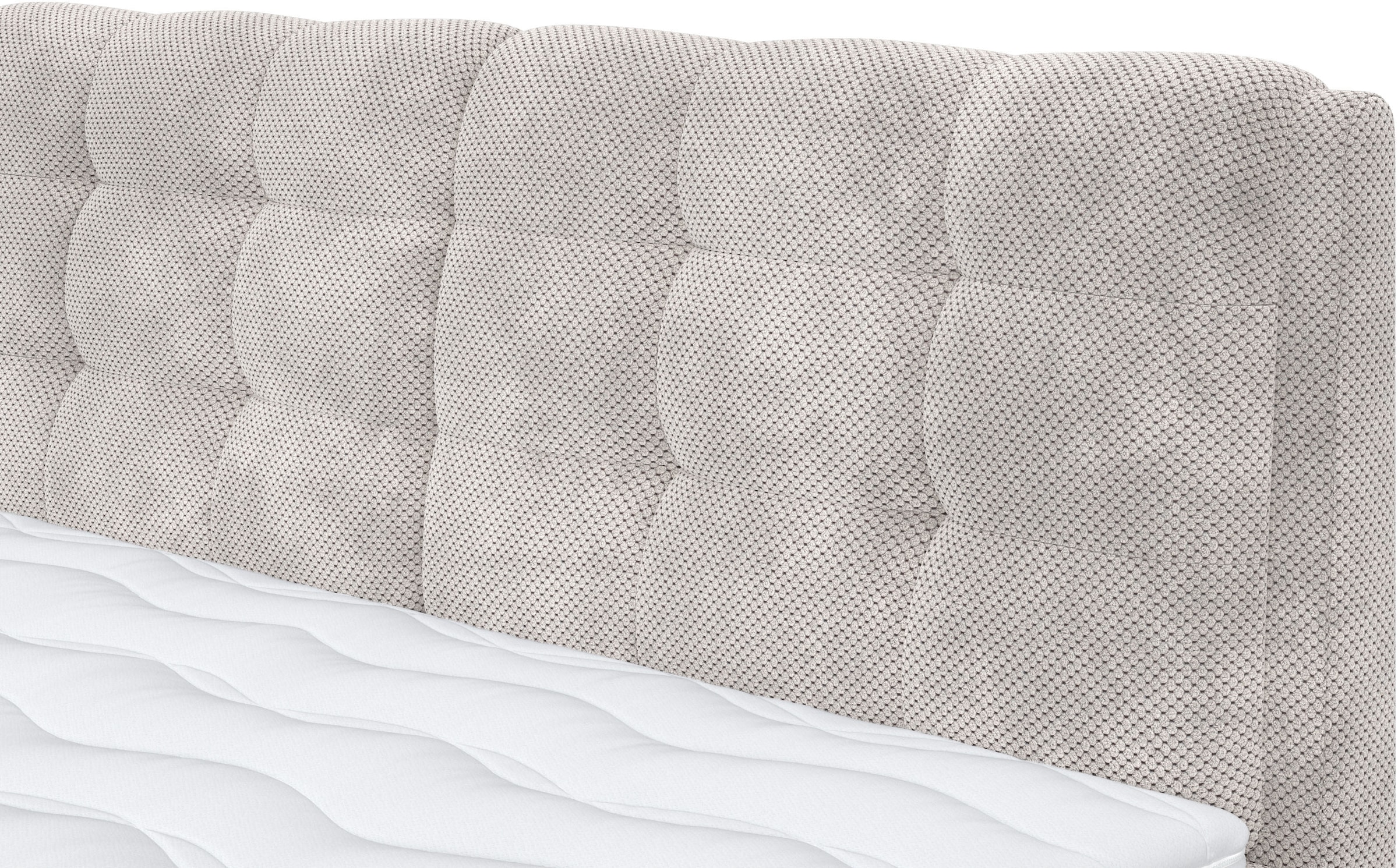 COTTA Boxspringbett »Fort mit Bettkasten, inkl. Topper« erhältlich in verschiedenen Breiten (160cm, 180cm & 200cm)