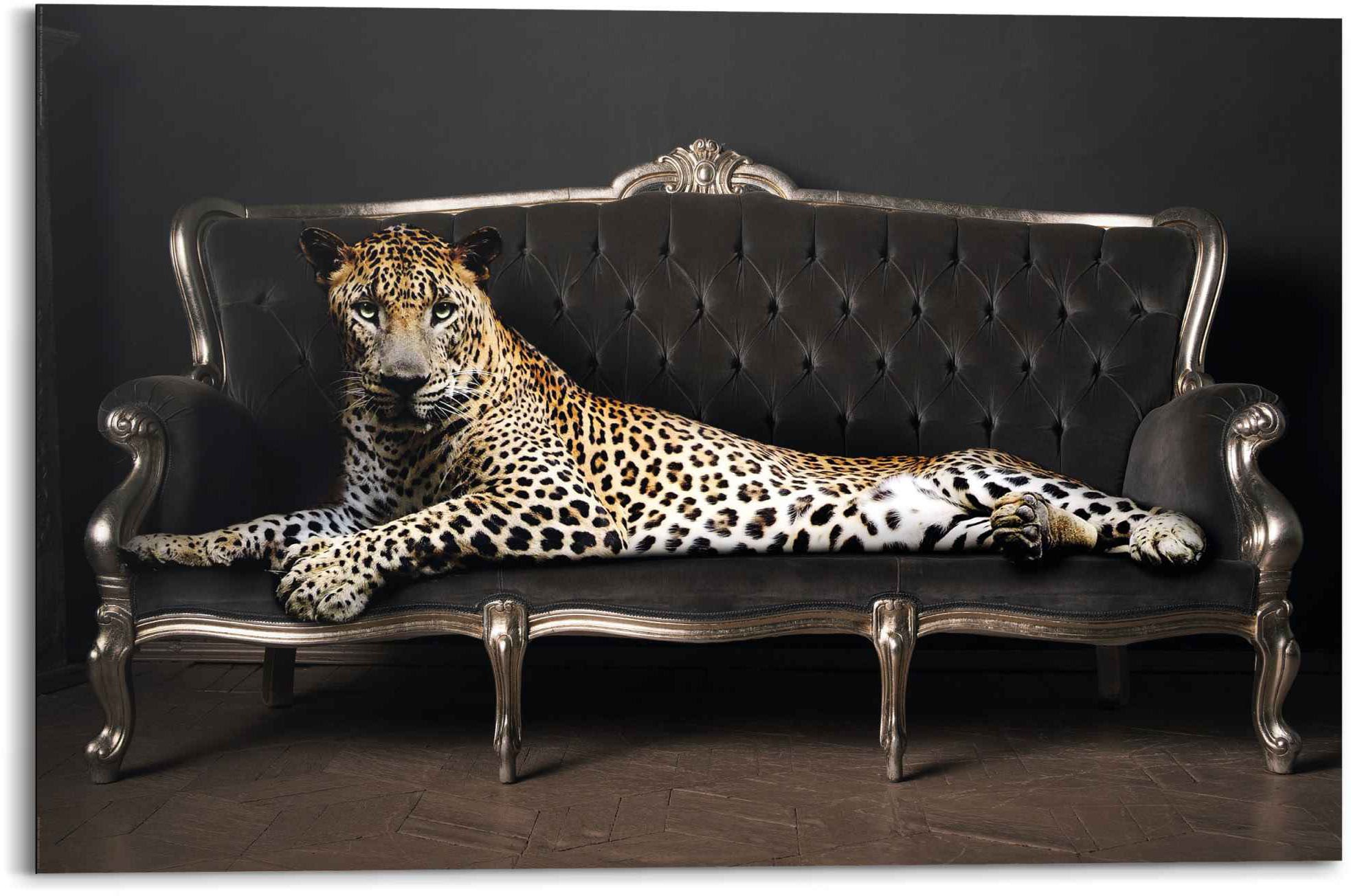 Liegend Relax«, - Leopard, St.) - OTTO online Wandbild »Wandbild - bei (1 Panther Luxus Reinders! Chic Leopard