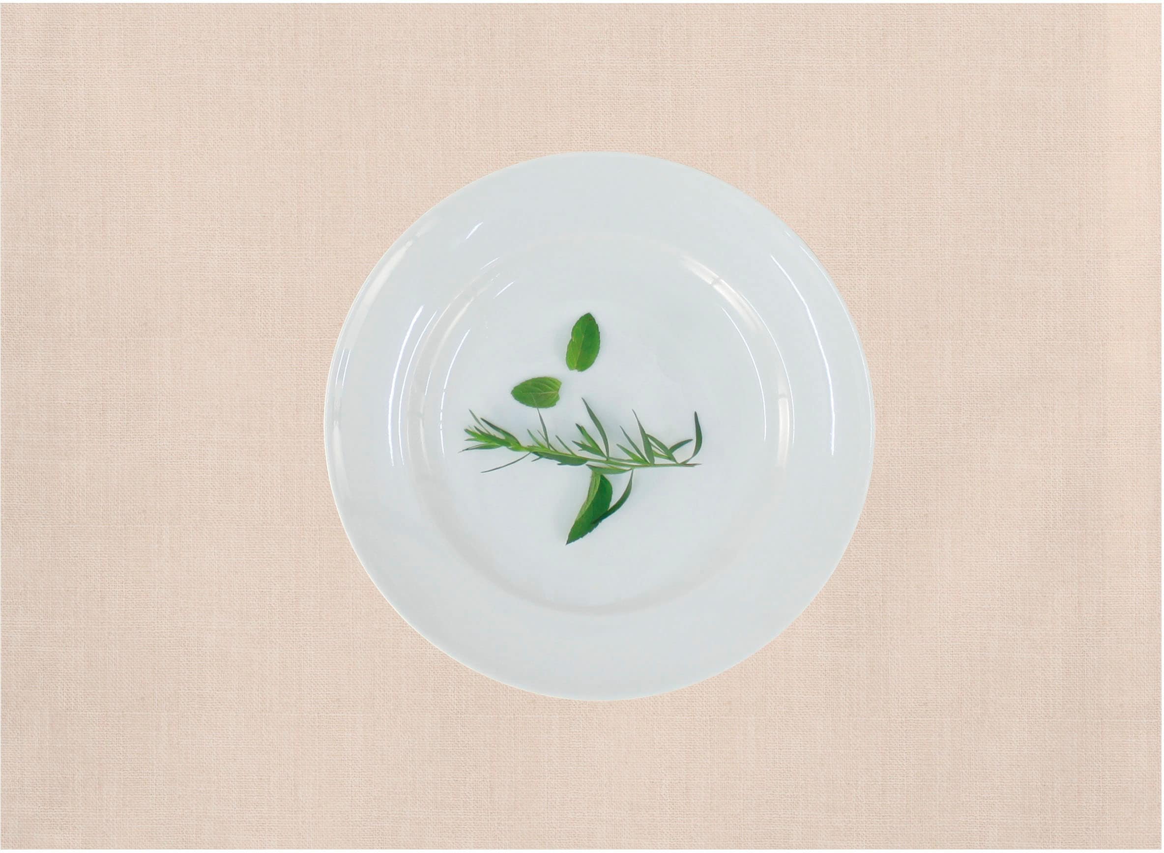 APELT Platzset »Arizona, Uni-Basic« Leinenoptik