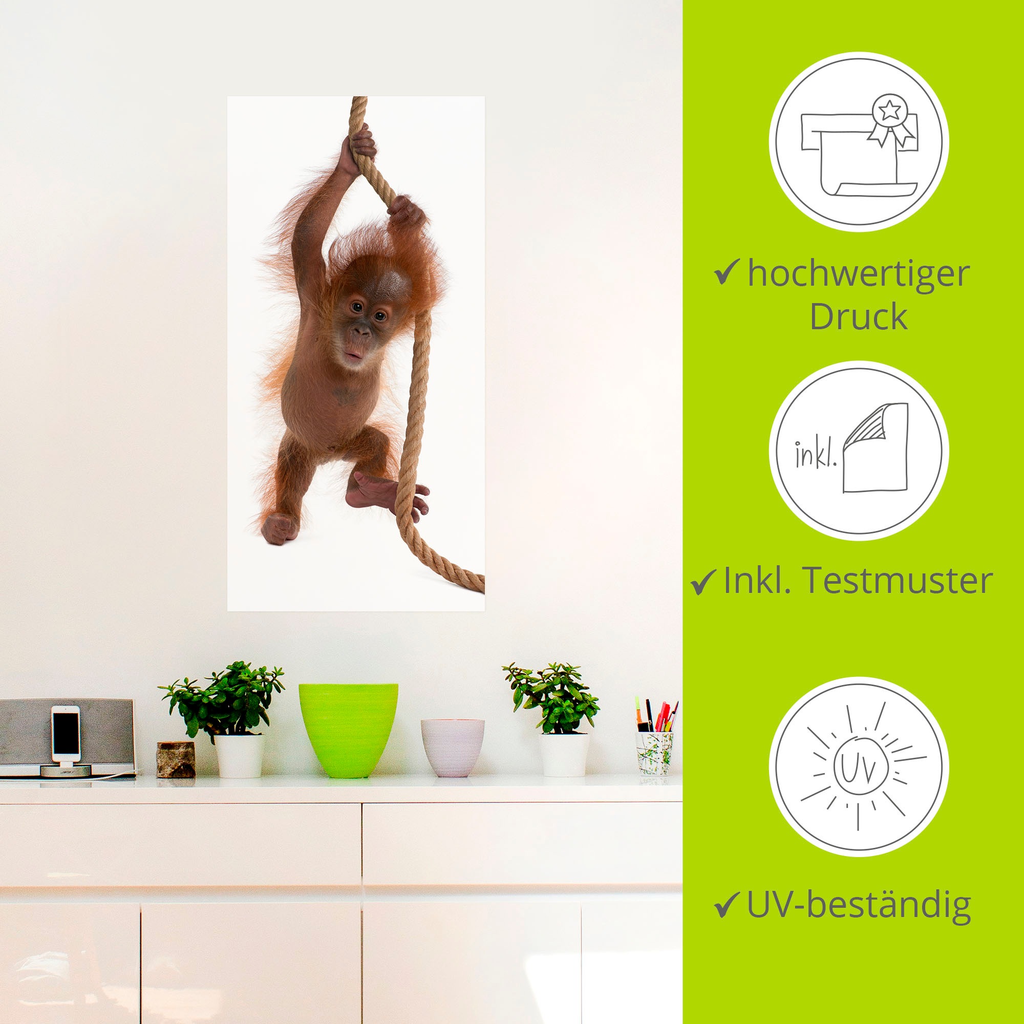 Artland Wandbild »Baby Orang Utan hängt am Seil I«, Wildtiere, (1 St.), als Alubild, Leinwandbild, Wandaufkleber oder Poster in versch. Größen