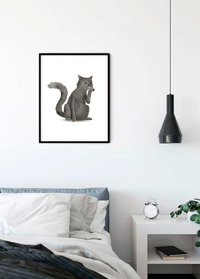 Komar Poster »Cute Animal Cat«, Tiere, (1 St.), Kinderzimmer, Schlafzimmer, Wohnzimmer