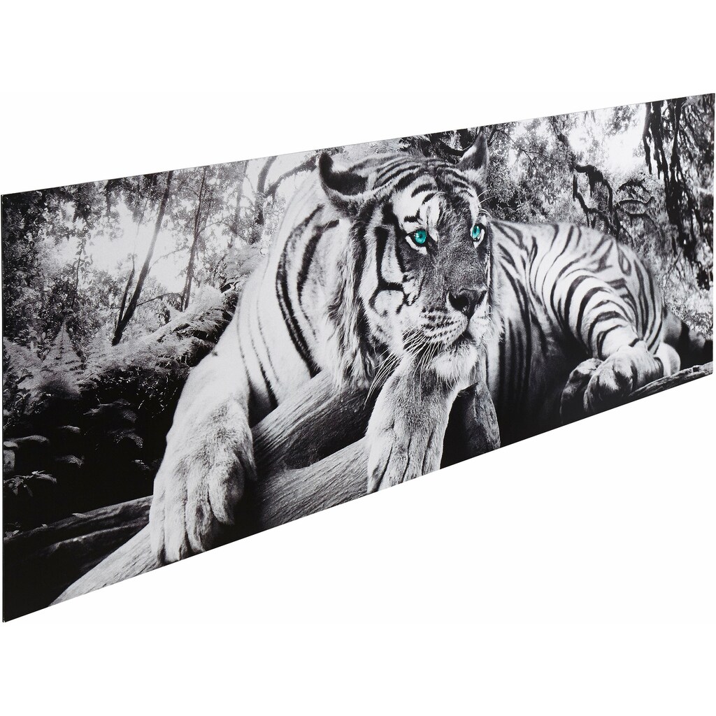 Home affaire Deco-Panel »Tiger guckt dich an«