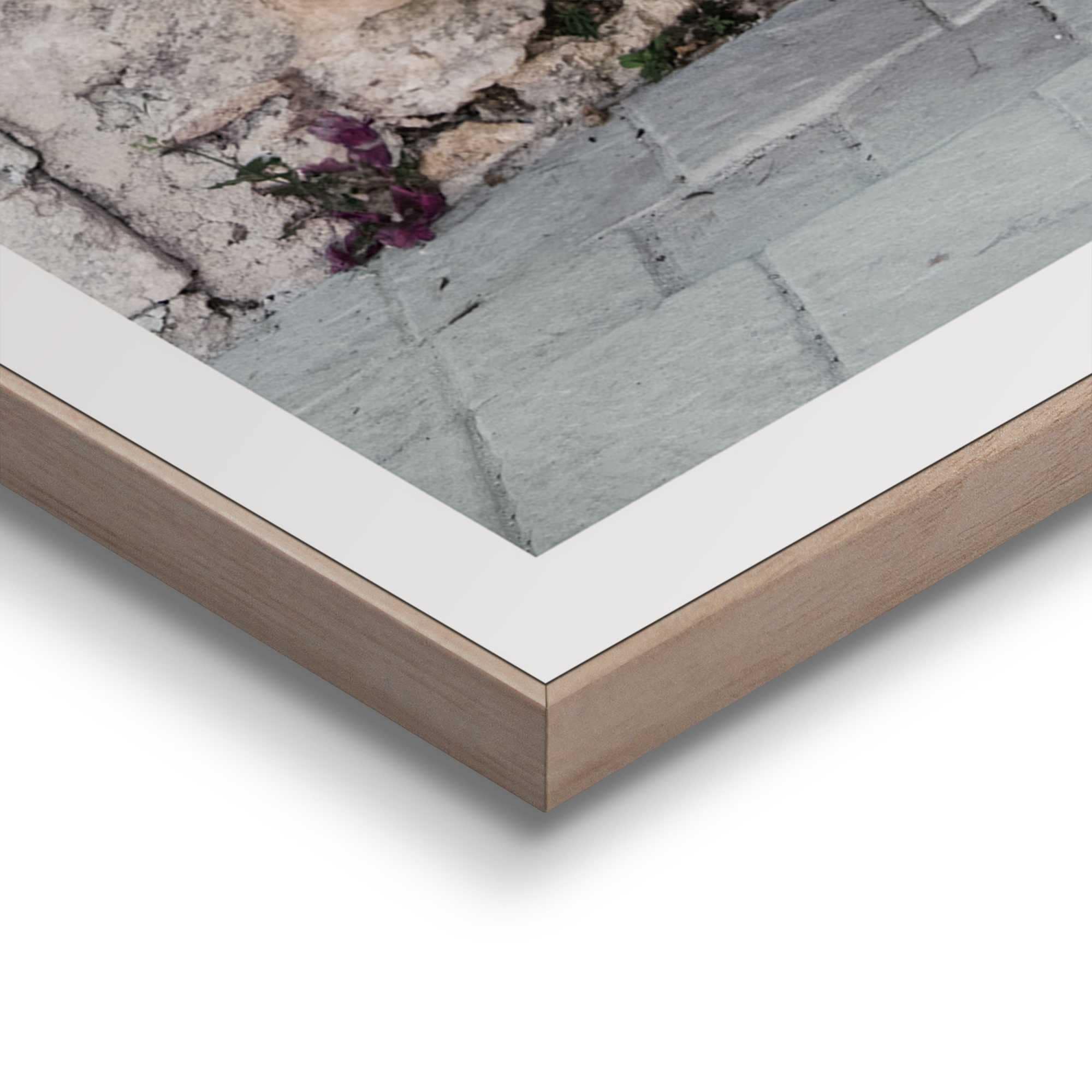 Reinders! Bild mit Rahmen »Olive Tree«