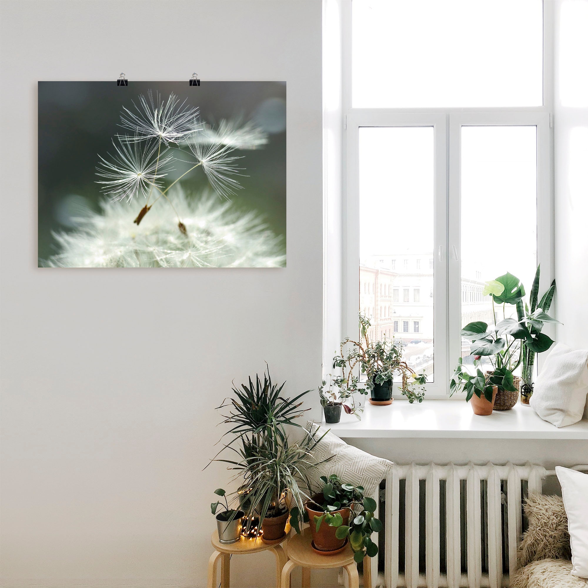 Artland Wandbild »Pusteblume Facility« Blumen 1 Stk. tlg. als Alubild, Leinwandbild, Poster in verschied. Größen