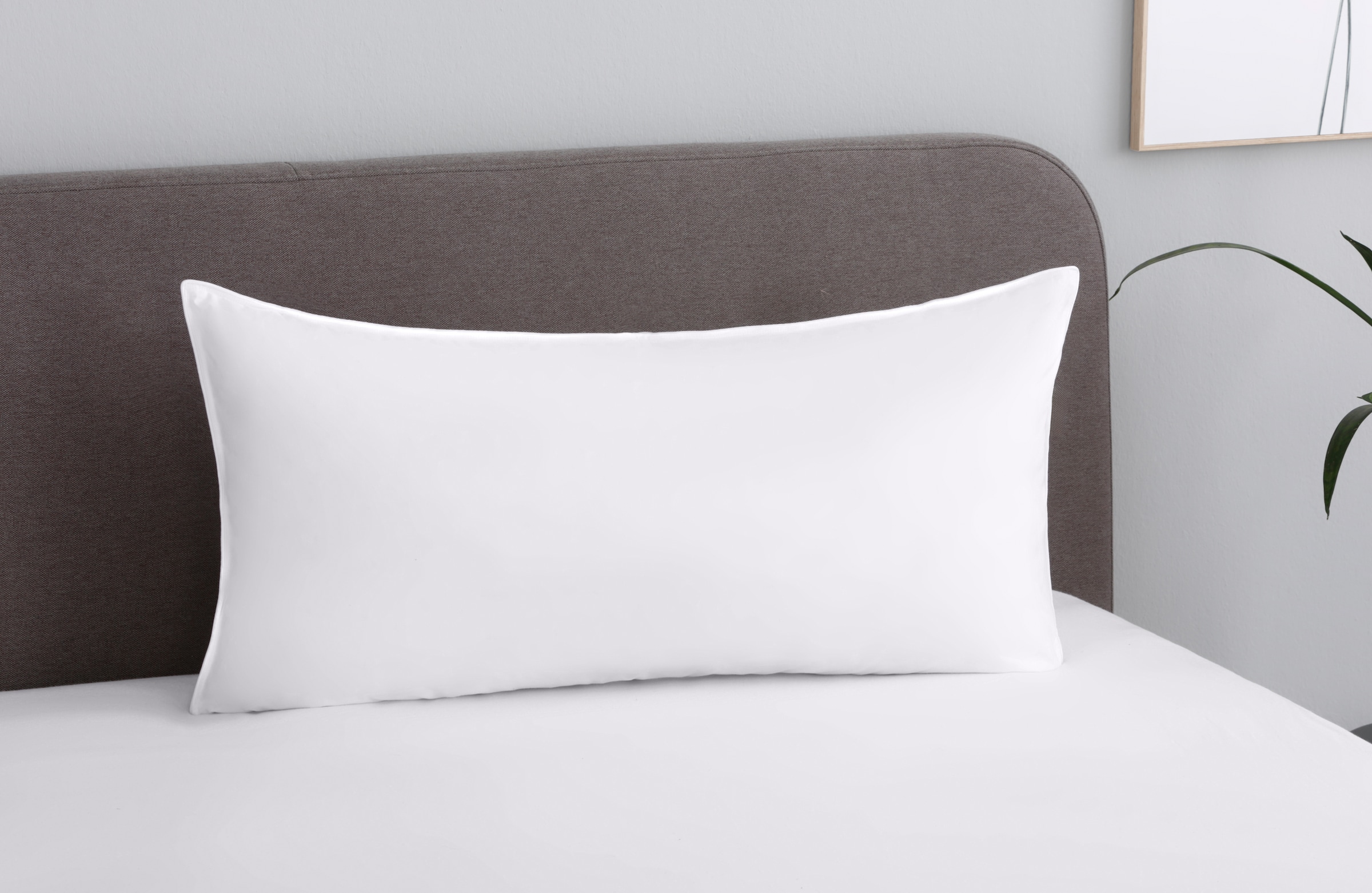 OTTO home Federkopfkissen »Irah Kopfkissen 40x80 cm, 80x80 cm« Füllung: 85% Federn, 15% Daunen Bezug: Baumwolle 1 Stk. tlg. Kissen Made in Germany mit DOWNPASS ausgezeichnet