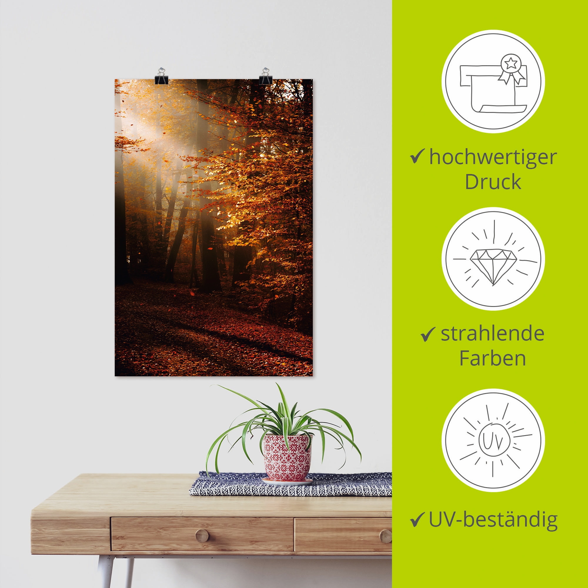 Artland Wandbild »Sonnenaufgang im Herbst«, Wald, (1 St.), als Leinwandbild, Poster in verschied. Größen