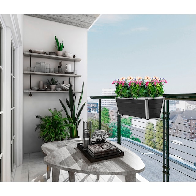 Gartenfreude Balkonkasten, 60,5 x 19,5 x 20,5 cm kaufen bei OTTO