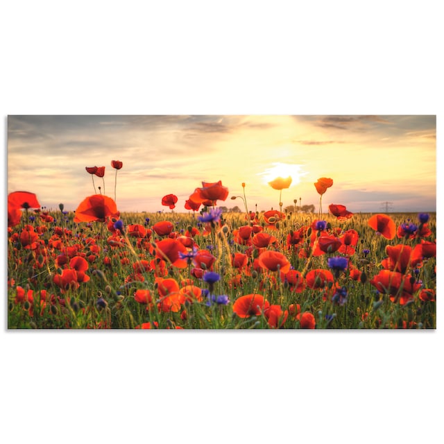 Artland Wandbild »Mohnblumen«, Blumen, (1 St.), als Alubild, Leinwandbild,  Wandaufkleber oder Poster in versch. Größen kaufen online bei OTTO