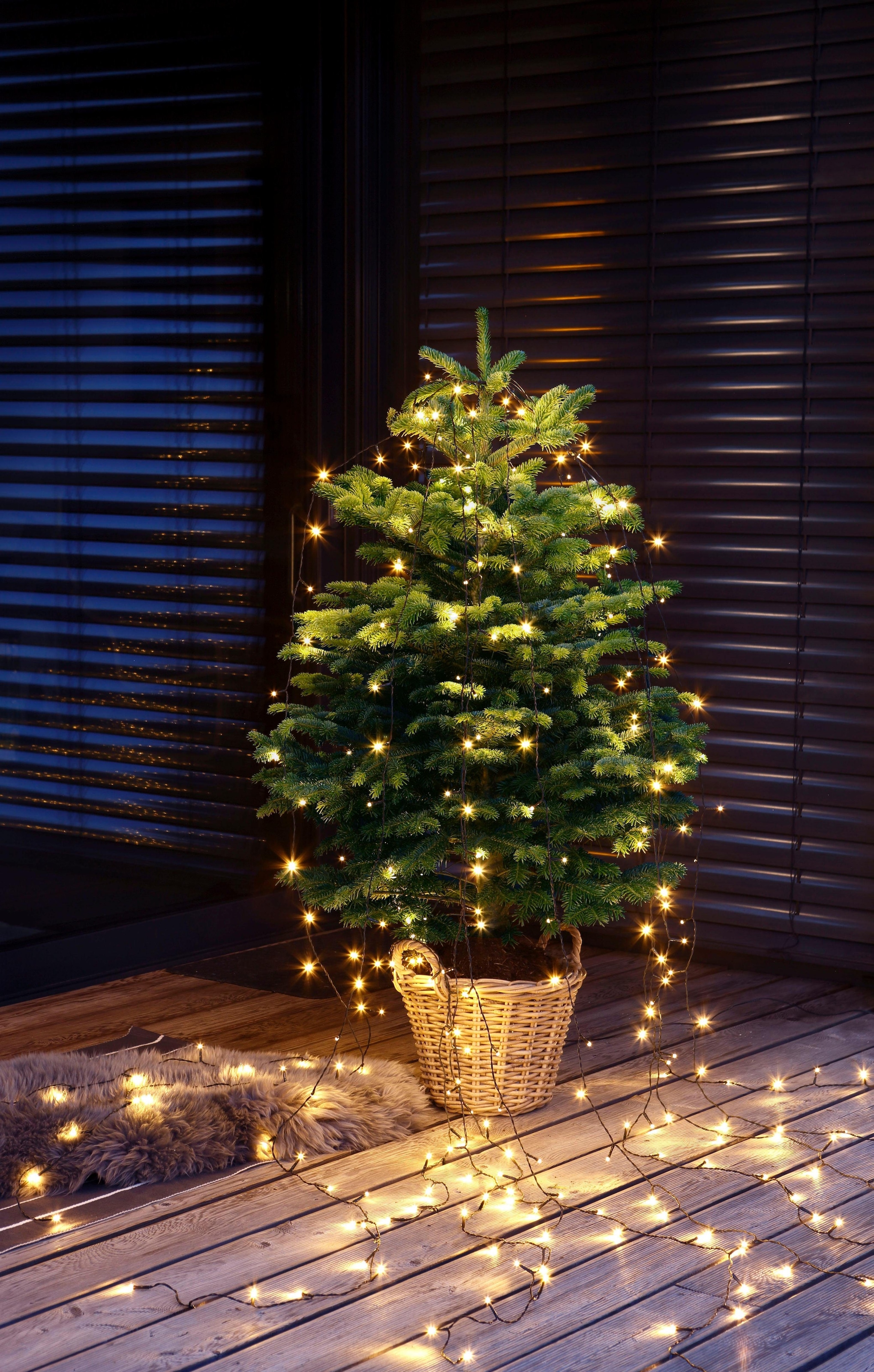 OTTO Online zum Einpflanzen, Weihnachtsdeko »Echte gewachsen Echter im Shop im Weihnachtsbaumland Topf Weihnachtsbaum aussen«, Nordmanntanne
