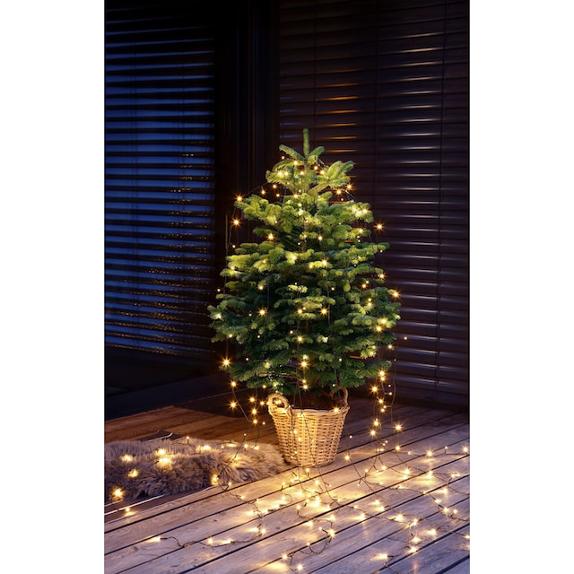 Weihnachtsbaumland Echter Weihnachtsbaum »Echte Nordmanntanne zum  Einpflanzen, Weihnachtsdeko aussen«, im Topf gewachsen im OTTO Online Shop