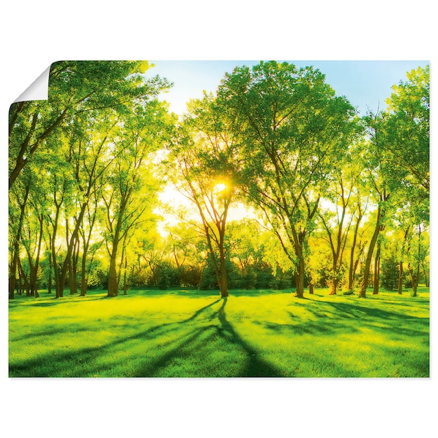 Artland Wandbild »Frühlingswärme II«, Wiesen & Bäume, (1 St.), gedruckt im  OTTO Online Shop
