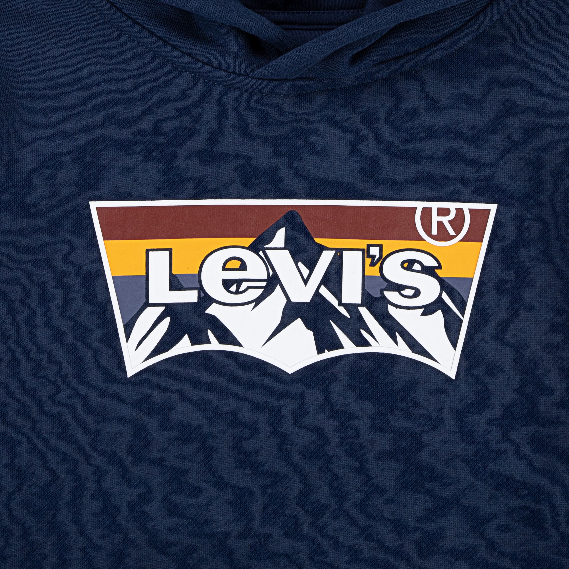 Levi's® Kids Hoodie »LVB MOUNTAIN BATWING HOODIE«, for Boys. Batwing-Logodruck