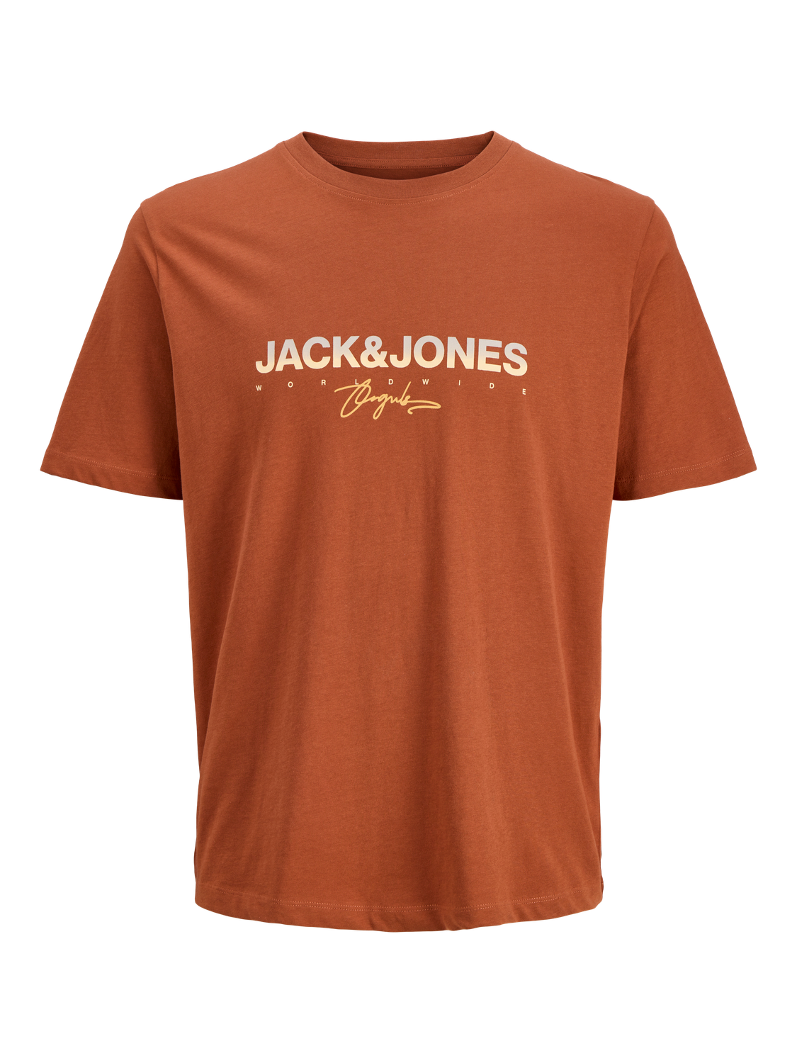 Jack & Jones Print-Shirt »JORCANGGU TEE SS CREW NECK FST«, mit Logoprint