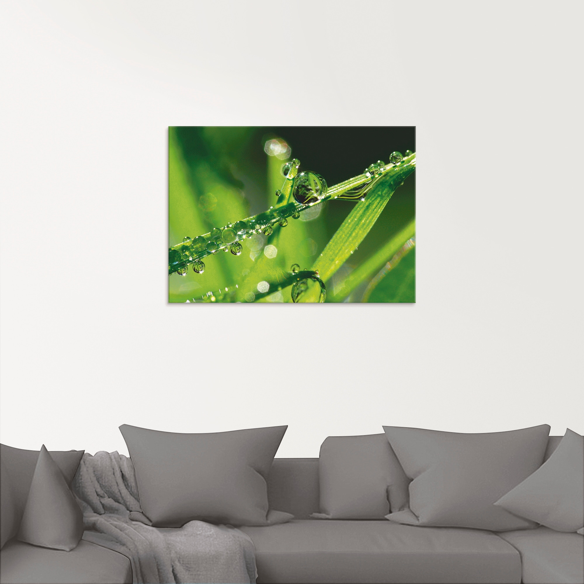 Artland Glasbild »Wassertropfen auf Gras«, Gräser, (1 St.), in verschiedenen Größen